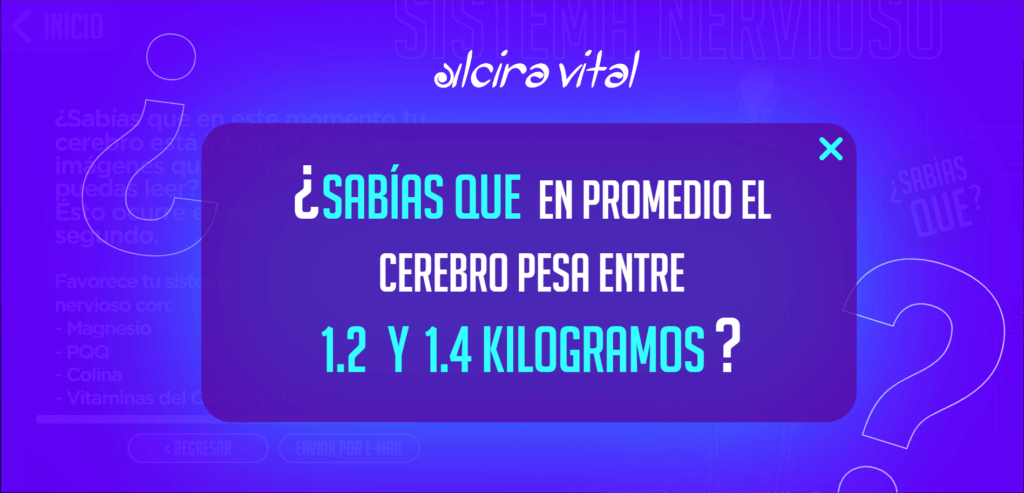 sabias que sistema nervios