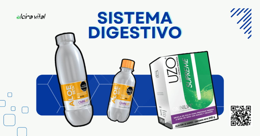 Para Blog 2