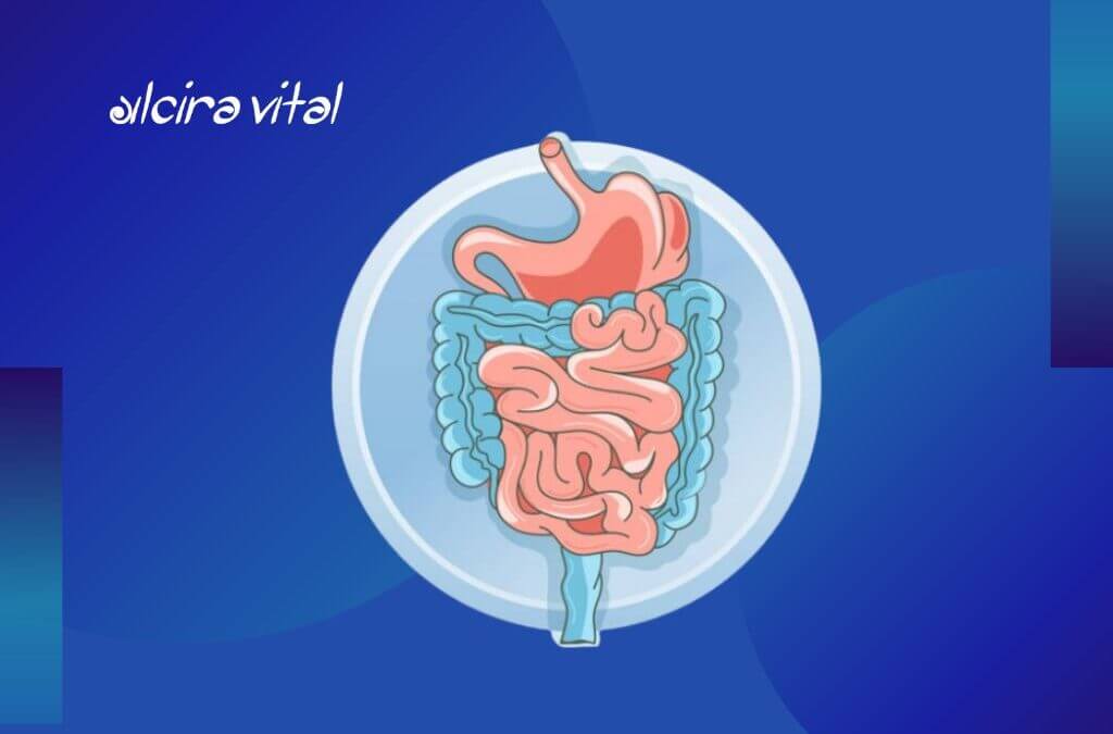 FAVORECE A TU SISTEMA DIGESTIVO